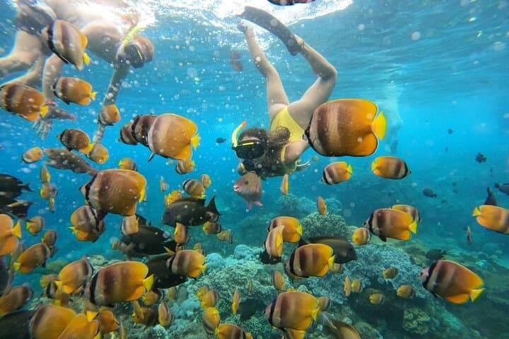 Snorkeler exploring clear tropical water at Manta Bay Nusa Penida — photo 2