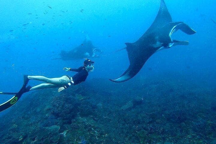 Snorkeling in clear water and Nusa Penida coastal cliffs in one combined trip — photo 1