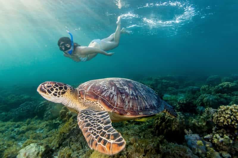 Snorkeling in clear water and Nusa Penida coastal cliffs in one combined trip