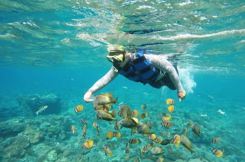 Snorkeling in clear water and Nusa Penida coastal cliffs in one combined trip — photo 6